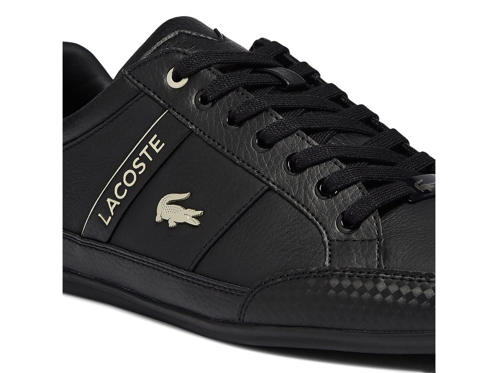 Persoon belast met sportgame grot produceren Lacoste Chaymon Gold-Carbon - Black-Black - Online kopen